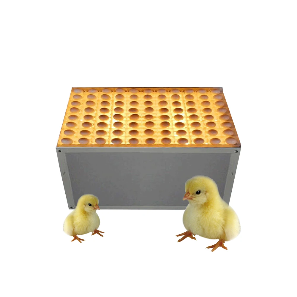 Professional Automatic Full Plate Ostrich Chicken Table Egg Light Candler Tester Machine For Farms Sale