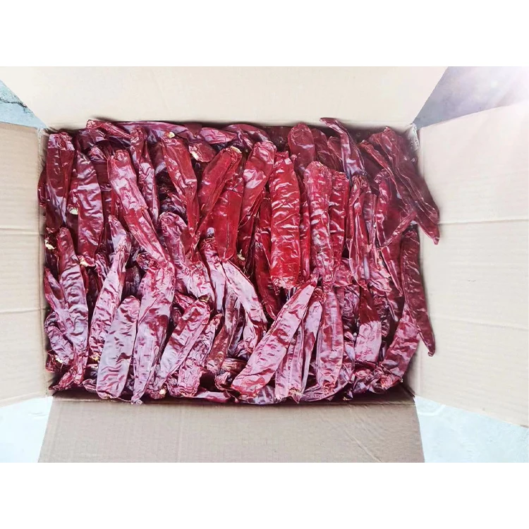 High quality dried paprika chili chili paprika New Crop for supply best spice chili paprika for sale