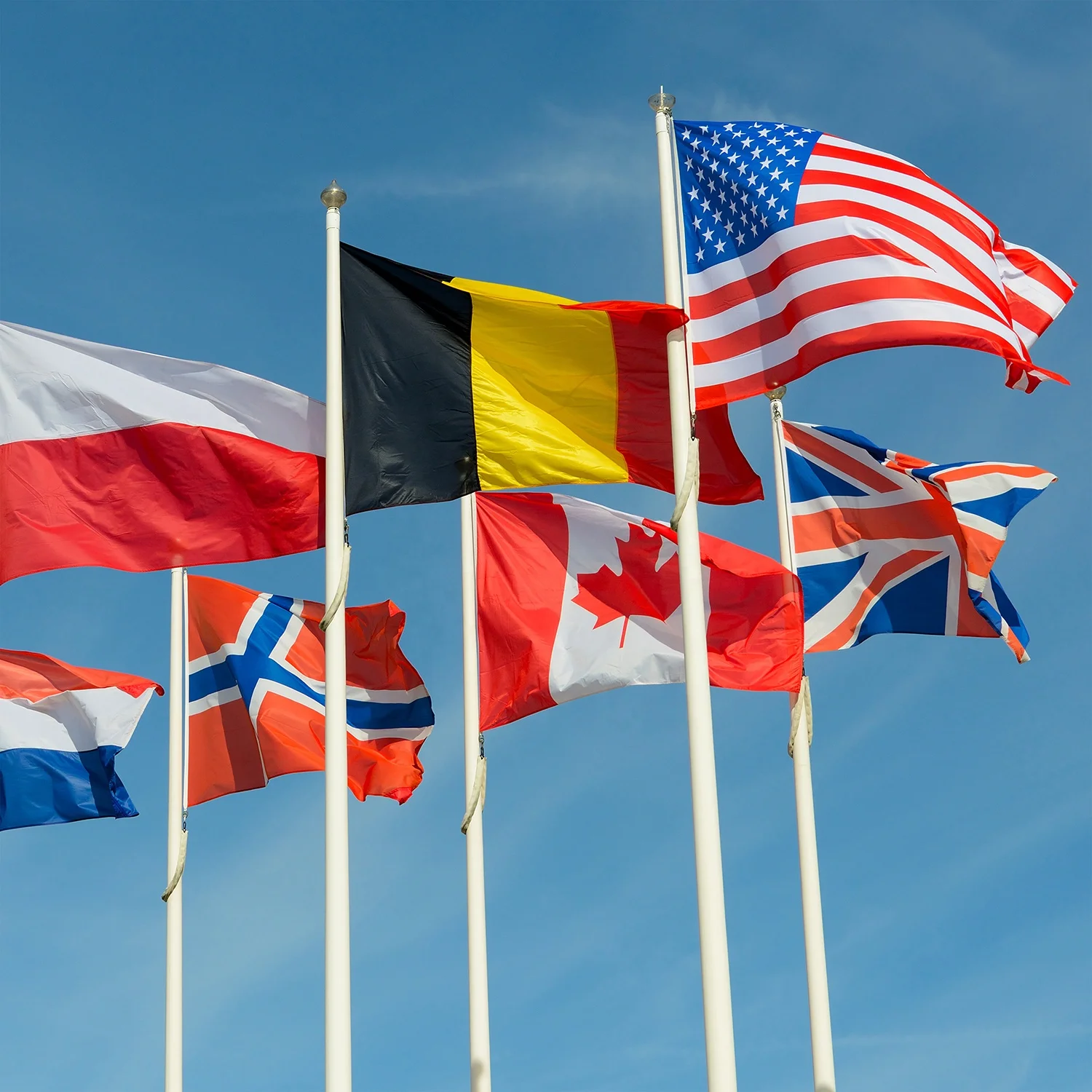 Wholesale Customized 3*5 ft Flags Advertising Flags Waterproof 100D Polyester Custom Flags