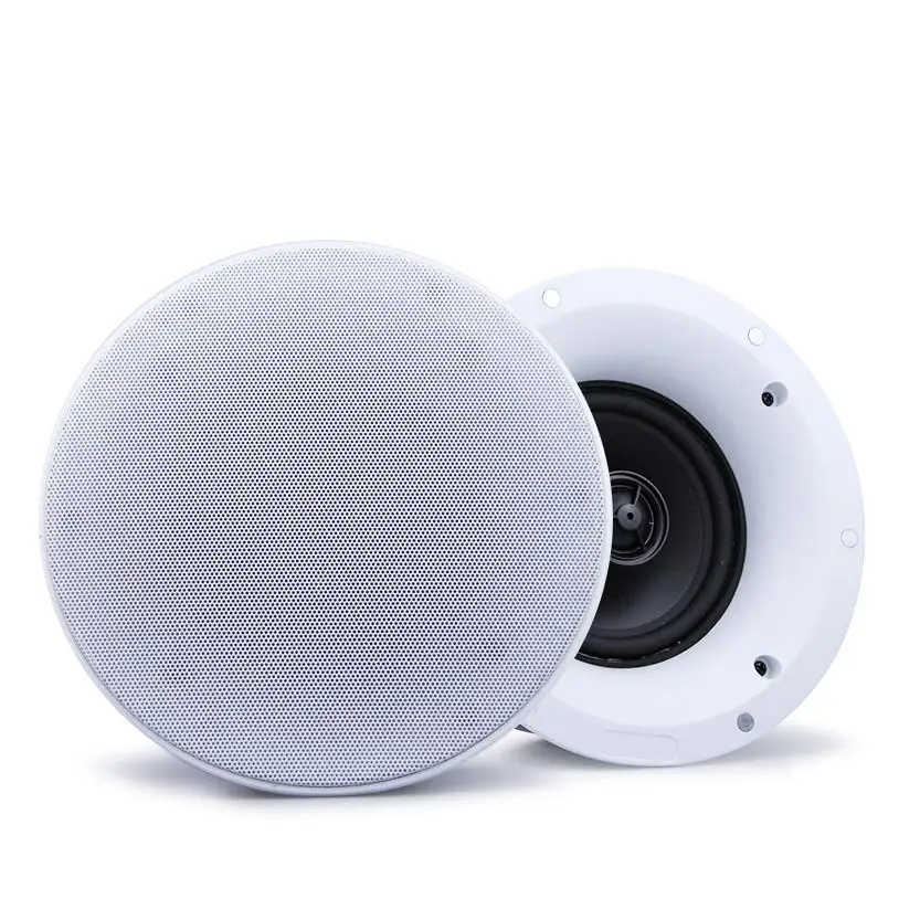 Ceiling Speaker System altoparlante coassiale 5 inch Solar 8 inch China Component 50 Watts Professional Singing Sound System