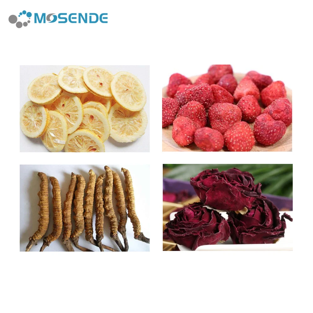  Household Freezer Vacuum Freeze Dryer Lyophilization Machine