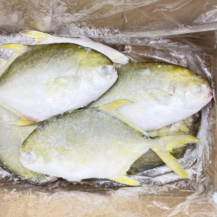 Акция, высокое качество, замороженные рыбные морепродукты IQF, Золотой помпано, помлад, для ресторана