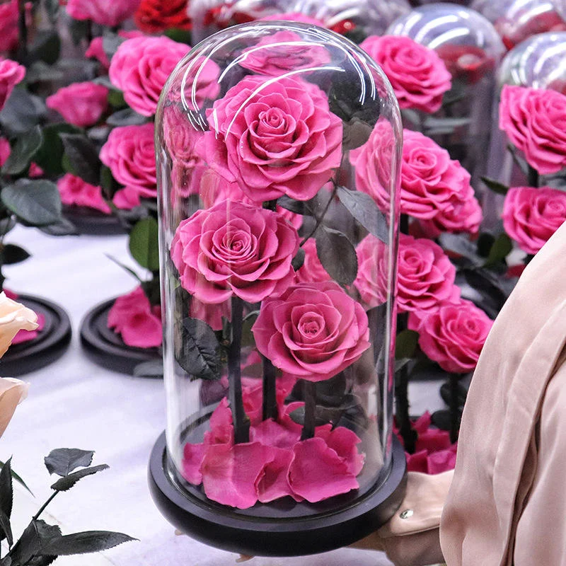 Hot Immortal Flower Glass Cover Fresh Flower Dusty Rose  Preserved Roses Glass Dome Pink 3 Forever Roses In Preserved Glass