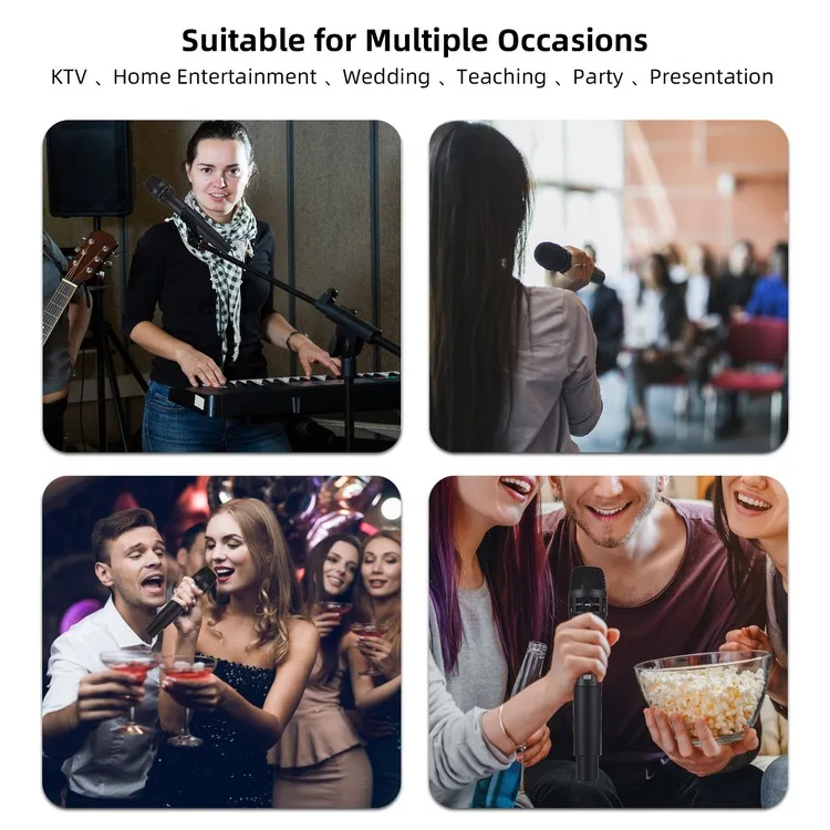 2.4G Wireless Microphone Frequency Modulation 2.4G Wireless Handheld Microphone System