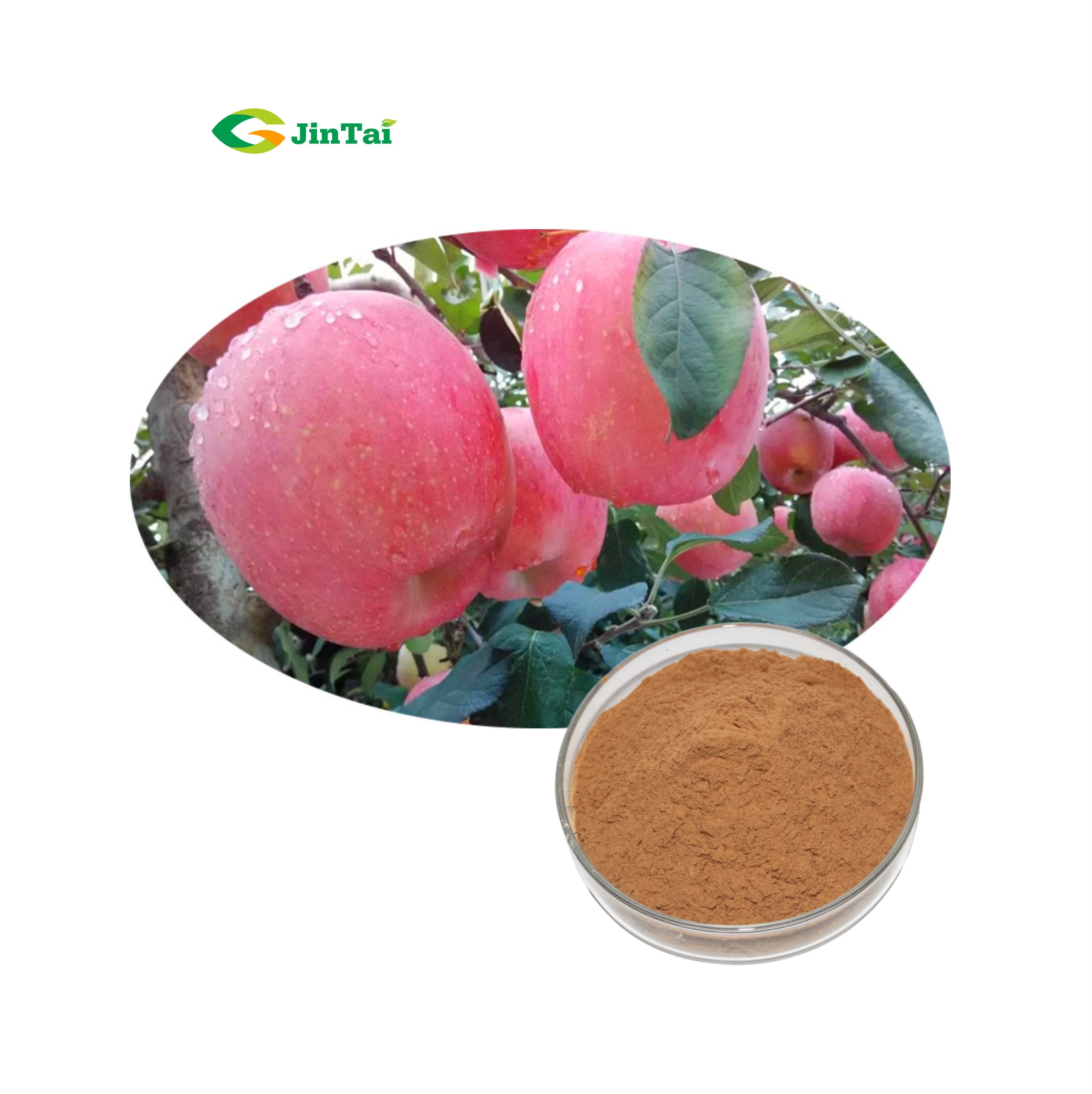 natural red green apple fruit double stem cell extract polyphenol 80% procyanidin b2 apple extract 40% apple polyphenols powder