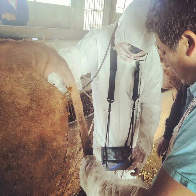 Портативный сканер для лошадей