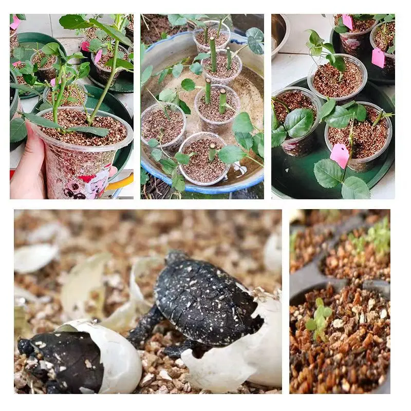 High quality vermiculite perlite expanded horticultural perlite for Succulent seedling raising