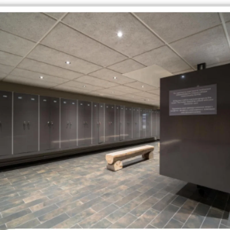 Modern Design Wood Wool Acoustic Panel for Soundproof Interior Wall Ceilings Decoration