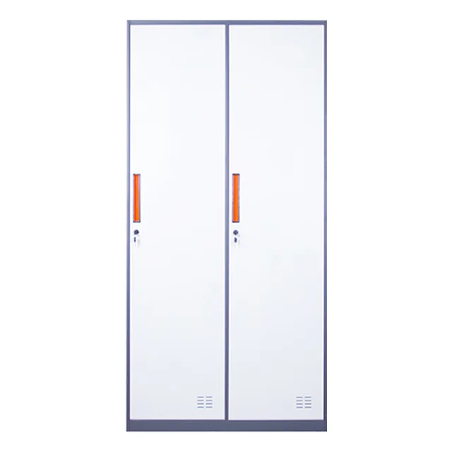 Steel Storage Cabinet Metal Storage Locker with Adjustable Shelves and 2 Door Locker for School Office
