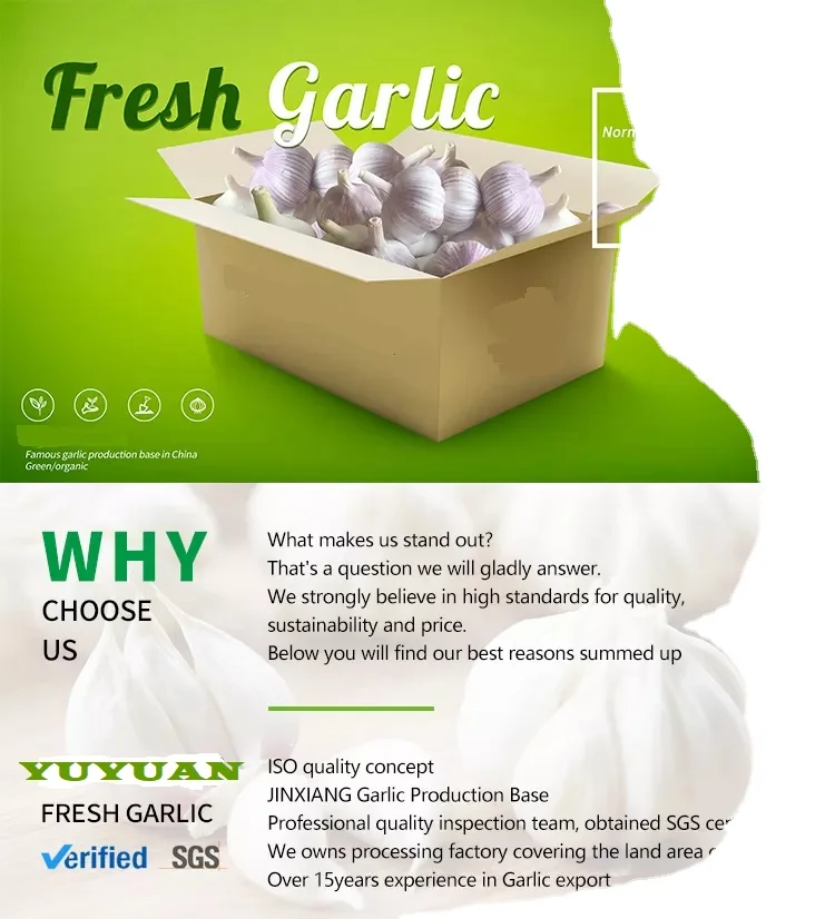 Китайский Низкая цена свежий чеснок белый пакет Урожай стиль время июня еда новейший цвет упаковка вес обычная сетка