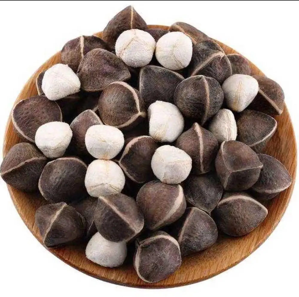 
Factory Cost of 100% Natural Moringa seed extractr from Coolflying 