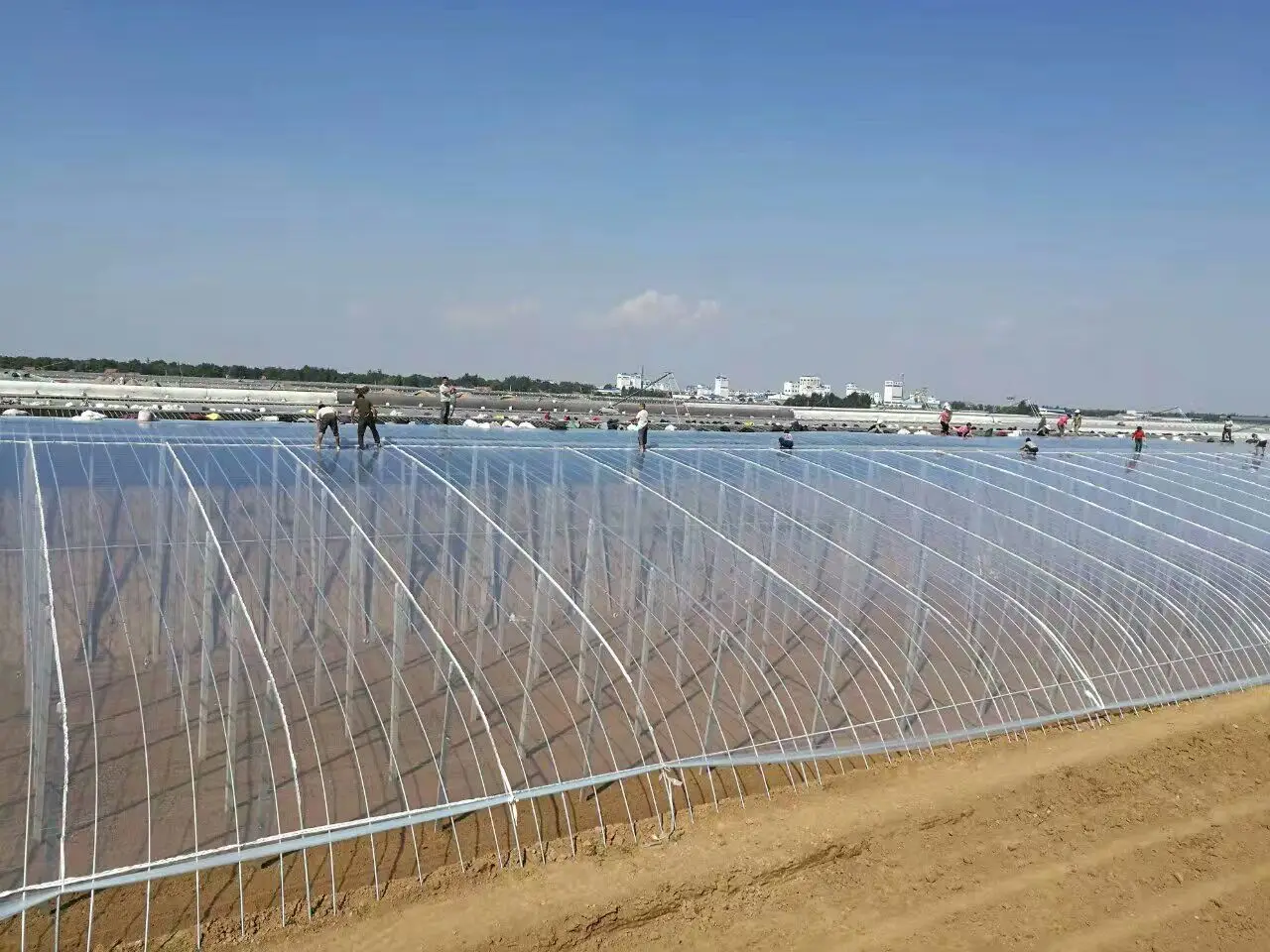 Прозрачная сельскохозяйственная пластиковая пленка для выдувного формования, устойчивая к УФ-излучению пленка для теплиц, 6 мил, 4 года, водонепроницаемая мембрана