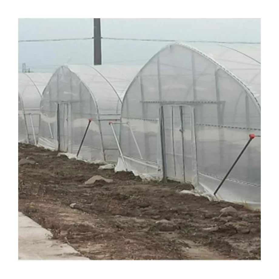 
Cheap hot sale top quality single greenhouse greenhouse structure frame strawberry hydroponic greenhouse 