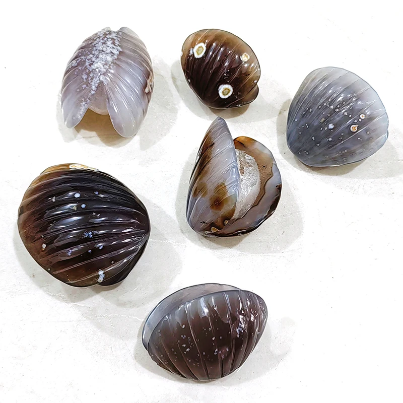 Factory price Wholesale crystal carving shell healing crystal carved Sea shell  crystal crafts agate conch shell for gift