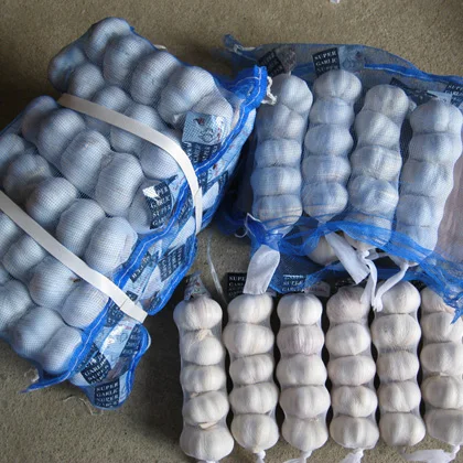 fresh garlic 10kg PACKAGE wholesale export