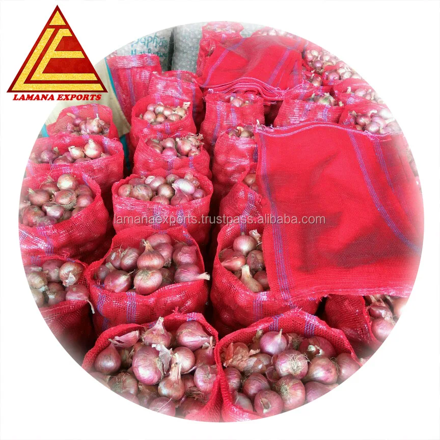 Fresh Indian Big Onion for Thailand 45mm up above Premium Quality