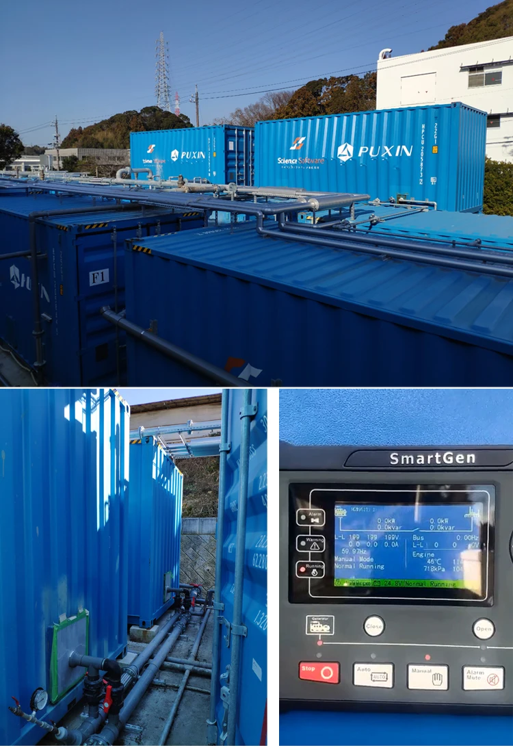 Anaerobic Fermentation Puxin Container Tank Biogas Plant Project for Organic Waste into Energy