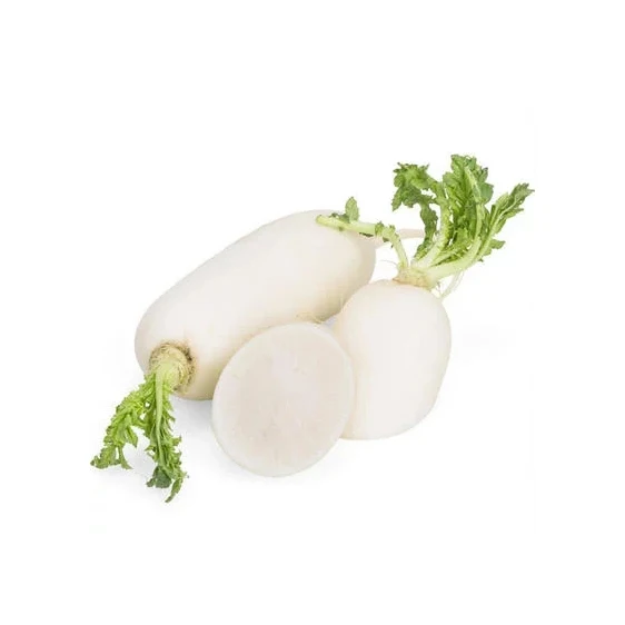 Good Quality Best Price Fresh Radish Original Fresh White Radish