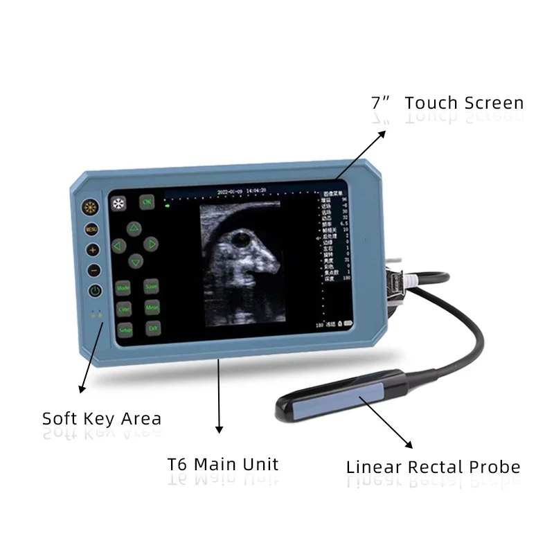 Horse Pregnancy Test  Full Touch Screen  Portable Sonar Machine Digital Animal Ultrasound Scanner USG Cattle with Rectal Probe