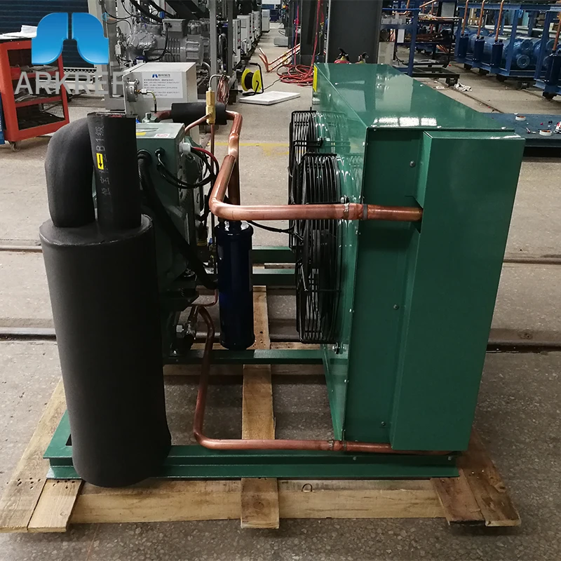  Bitzer Compressor Meat Cold Storage Refrigeration Equipment