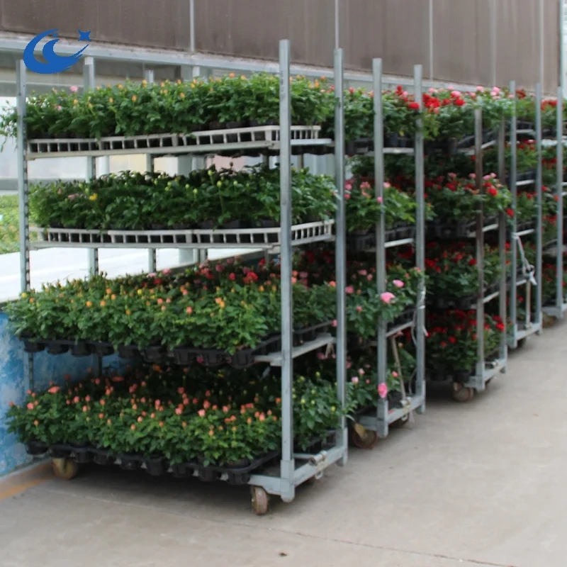 double layer rolling bench greenhouse ebb and flow rolling benches economic and workful for growing