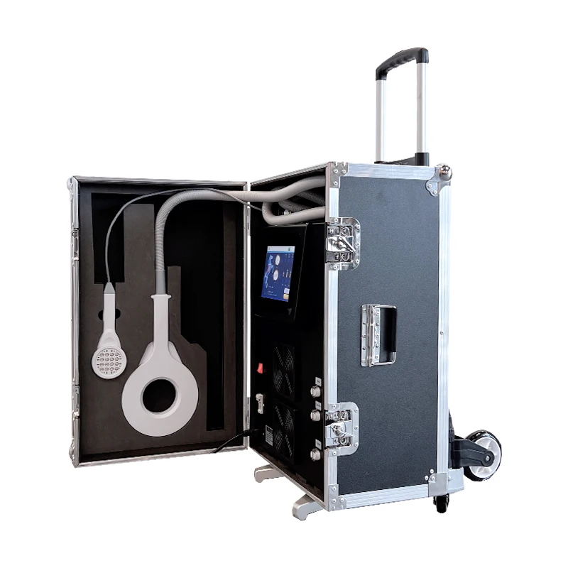 Multifunctional pmst magnetotherapy for horse arthritis treatment electromagnetic pmst neo pulse machine