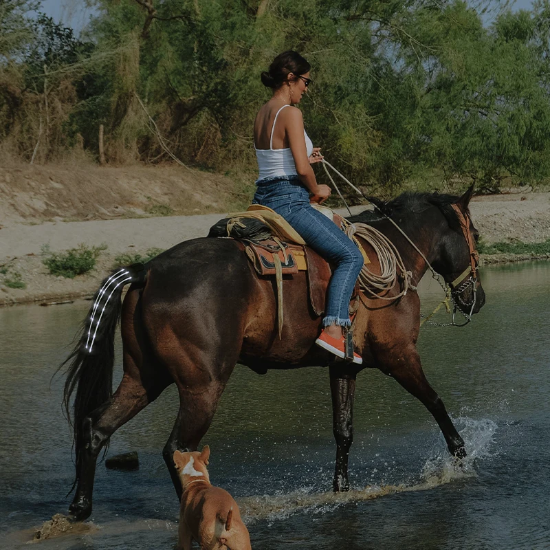 USB hot selling Bright LED flashing Horse Tail Light Lamp