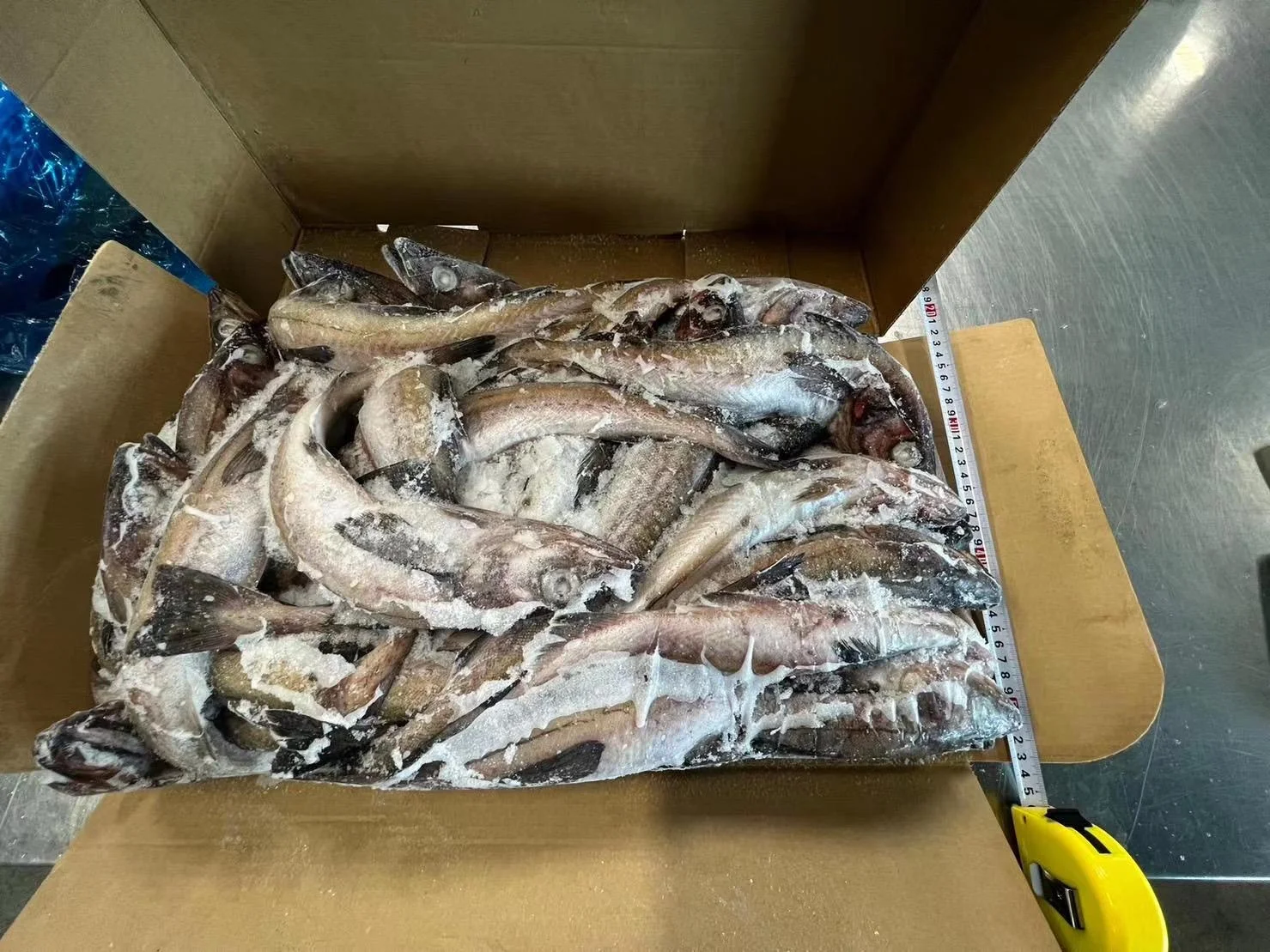 High Quality Japan Origin 300-500g Alaska Frozen Pollock Fish