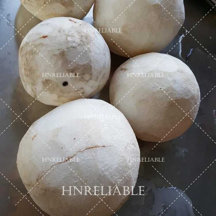 Coconut peeling machine for brown skin coconut peeler machine