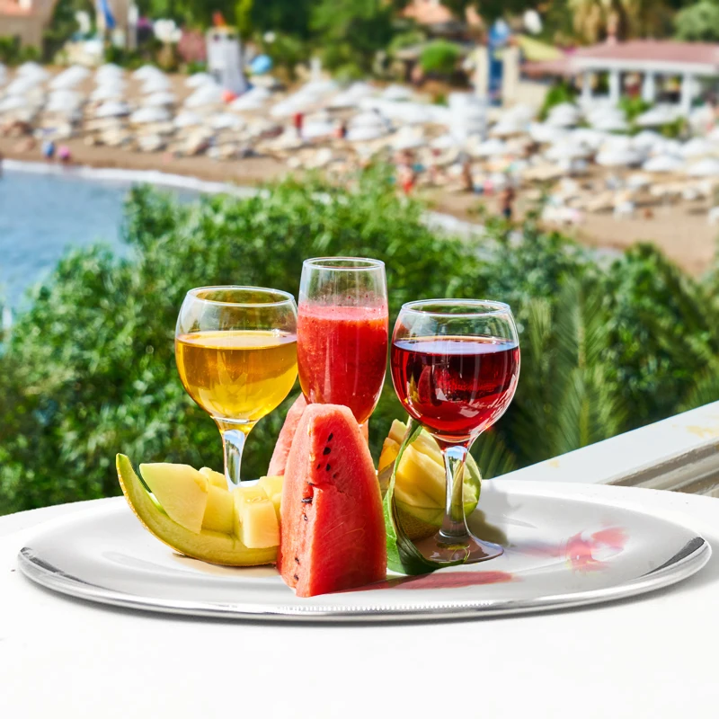 Restaurant & Hotel Supplies Stainless Steel Round Metal Serving Trays