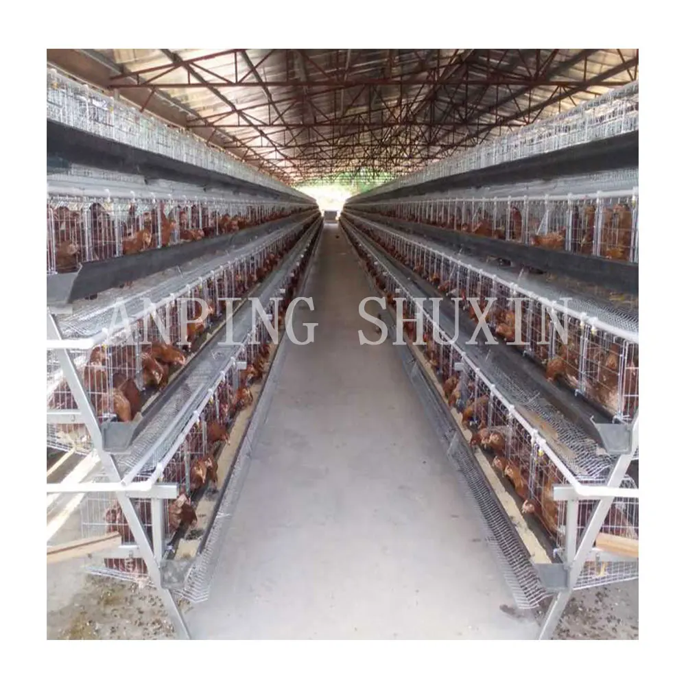 Best Selling Products 96 / 120 / 128 / 160 Birds Layer Poultry Battery Chicken Cages for Sale