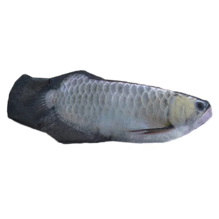  Wholesale Amazon Best Plush Fish Toy USB Electric Simulation Doll Interactive Floppy Cat electric
