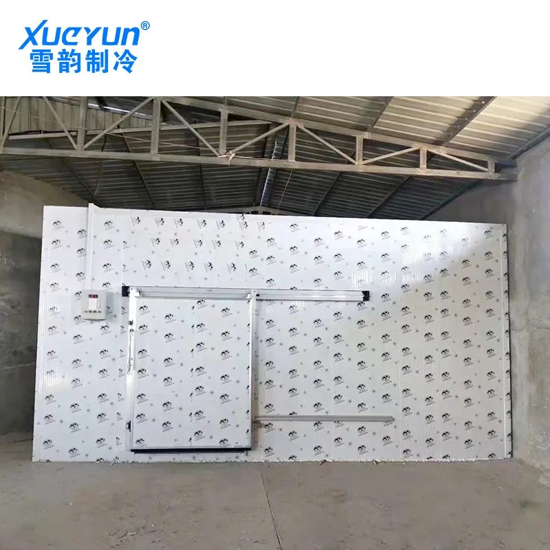 Freezer room refrigeration mini cold storage equipment for meat