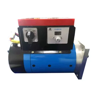 Hot Selling Good Quality 3000w Stepless Speed Regulating Reduction 48v DC Motor