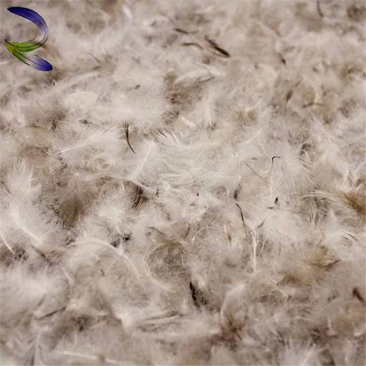 Hot Sale Cheap Wash Down Duck Feather Waterproof Buy Duck Down Fill Feather