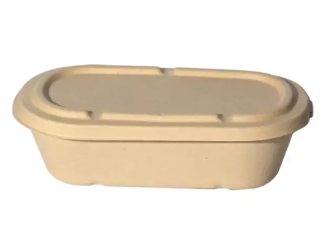 Eco environmentally friendly sugarcane bagasse biodegradable compostable lunch box sugarcane disposable tableware