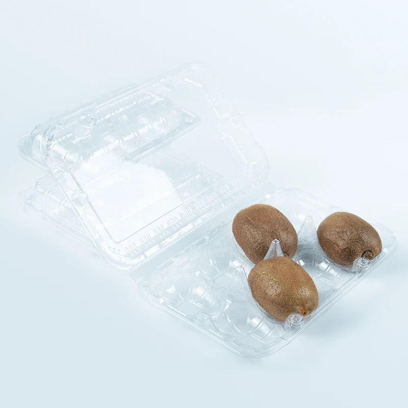 Hot Sale Clamshell Plastic Fruit Container Disposable Food Grade Plastic Transparent Fruit Box
