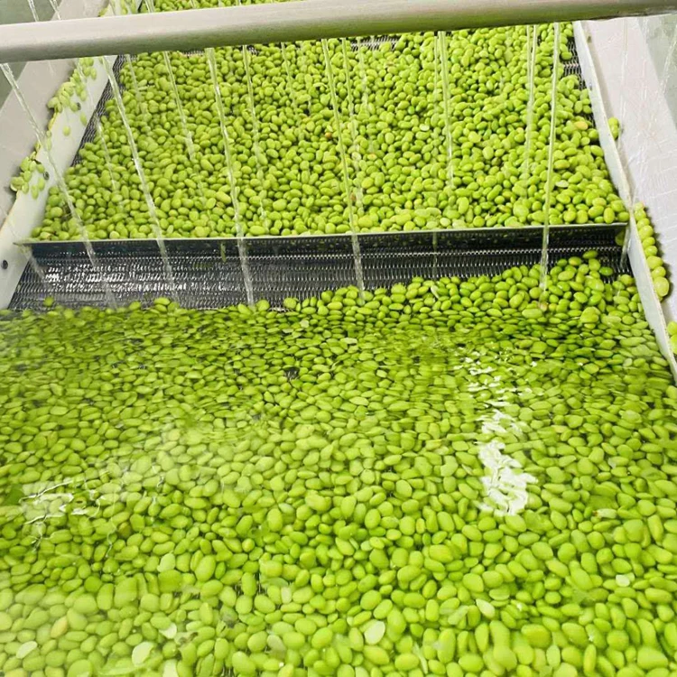Wholesale Bulk IQF Soybean Frozen Green Edamame Young Green Beans