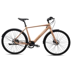 Ansbern New Hidden Battery Belt Drive E Bicycle 700C 6061 Aluminum 36v 250w Electric Bike Urbon E Bike