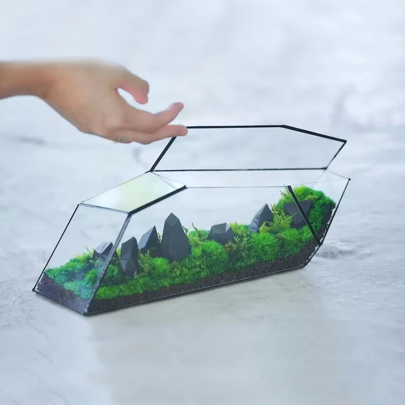 Wholesale Gift Box Artificial Plants Preserved Moss Placed in a Glass Cover