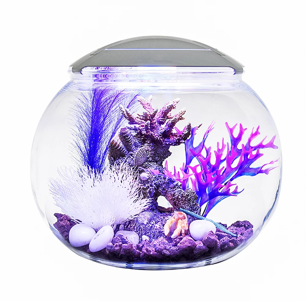 Charming acrylic fish tank,Clear aquarium tank, betta tank