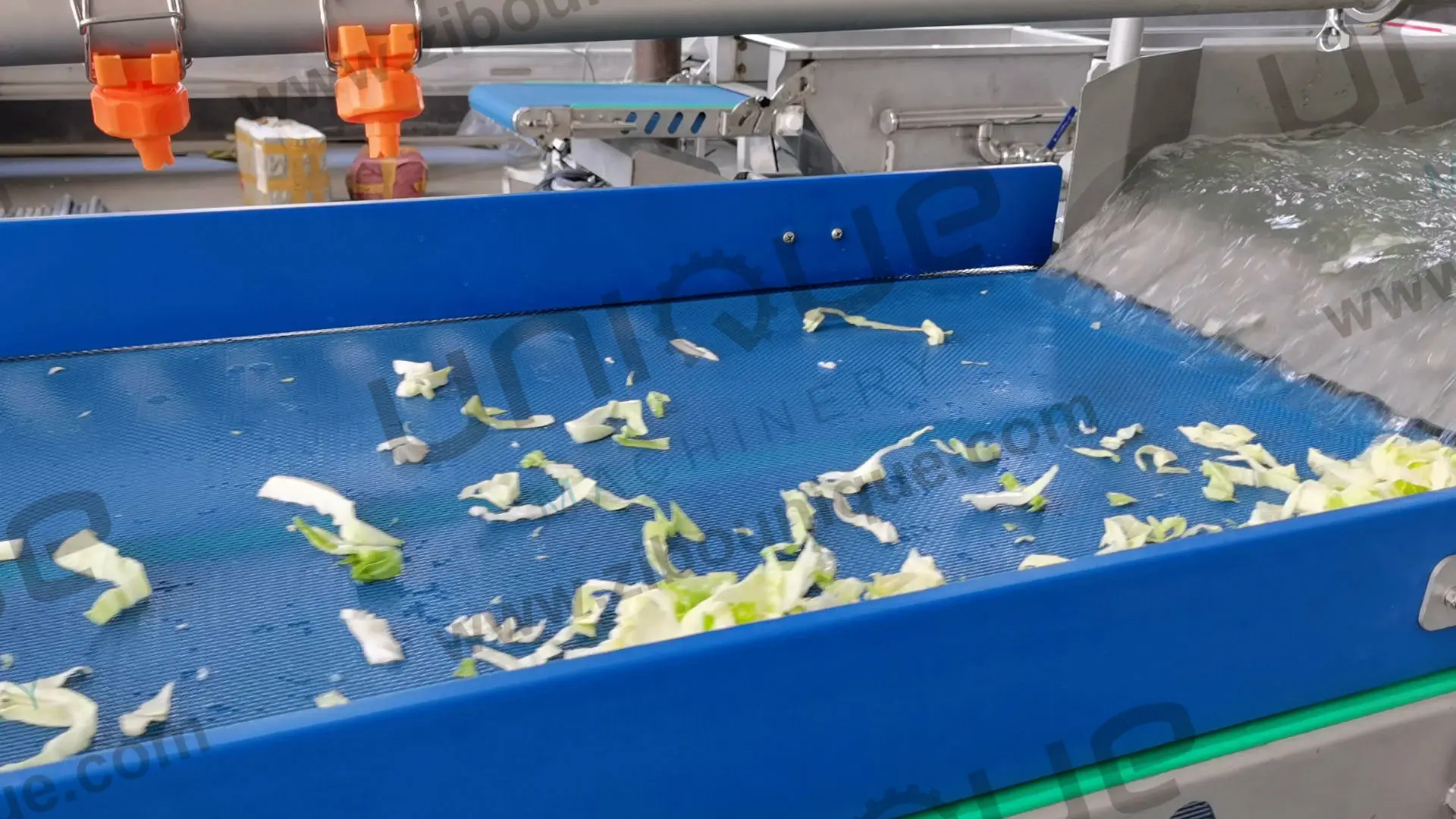 High efficiency fruit and vegetable cleaning machine salad vegetable washing machine