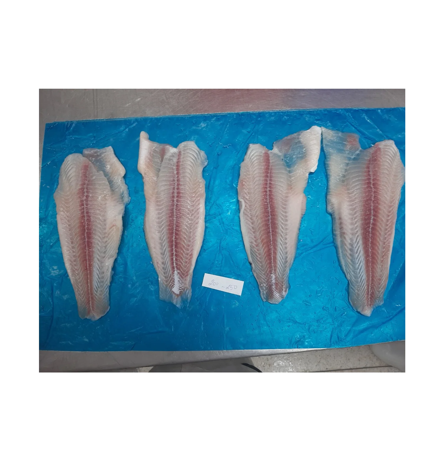 Vietnam Fresh Natural Seafood Pangasius Hypophthalmus/ Pangasius Fillet Un-trimmed High quality