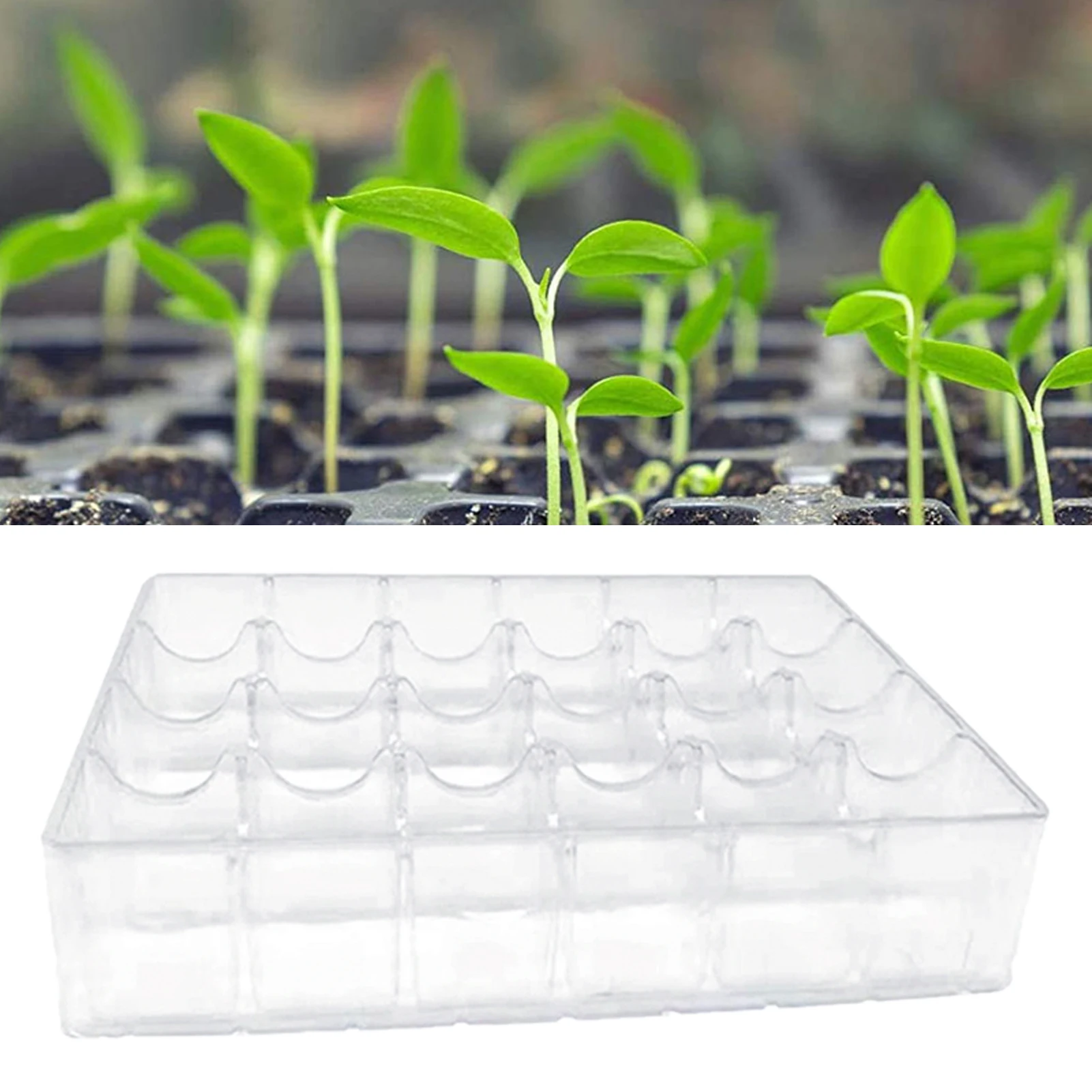 New White Transparent Agricultural Seedling Tray Plant Growing Artificial Plastic Plants for