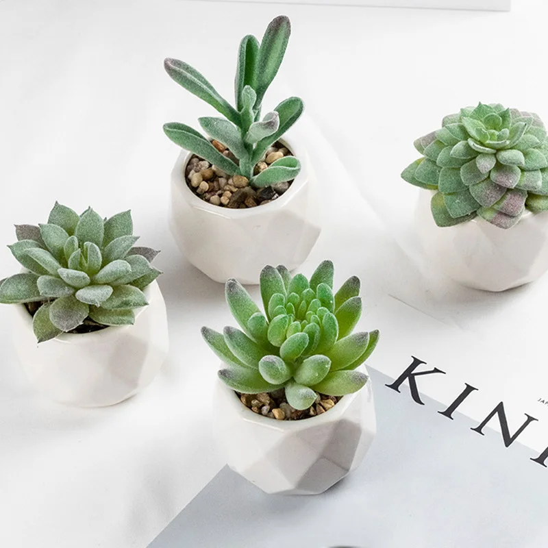 Home Decor Plastic Crafts Simulation Fabric Meaty Home Office Restaurant Garden Furniture Accessories Succulent Plants Gift Set