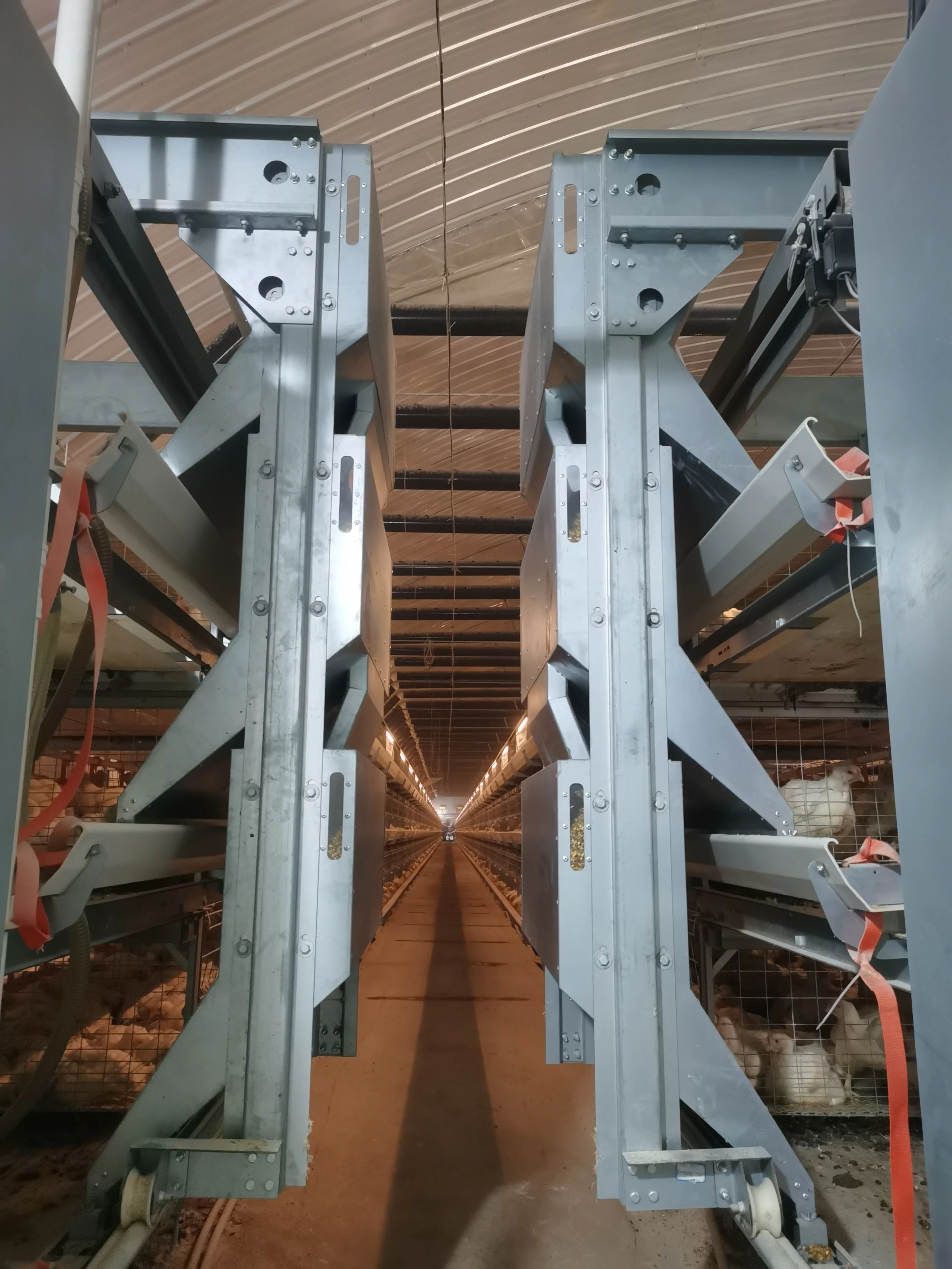 Лидер продаж 2024 сельскохозяйственное оборудование для птицеводства автоматическая клетка кур H-типа