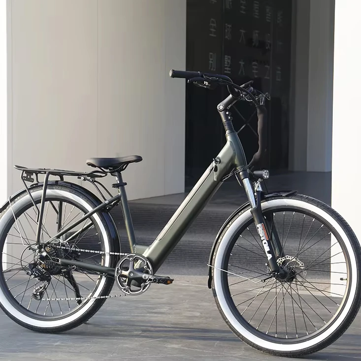 Stock E Bikes Electric Bicycle Removable Off Road Electric Bicycle Bike 7 Speed City Ebike