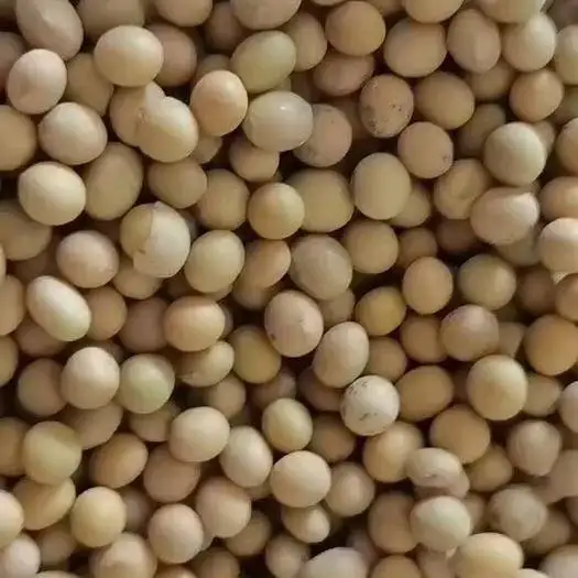 Высококачественные сушеные вакуумные NON-GMO соевые бобы доступные продукты без ГМО желтые