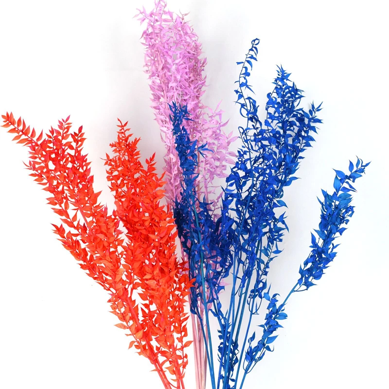 Оптовая продажа сушеных натуральных декоративных цветов, сохраненные листья драцены сандерии