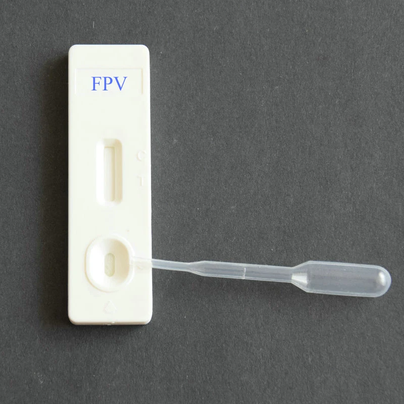 CE ISO factory  supply ship soon  delivery fast high quality Cat Fpv Rapid Test Kit Feline Parvovirus Panleukopenia ag test kit
